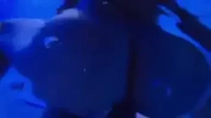 trippie bri [ trippie_bri ] Onlyfans leaked video 4732761 on Hotleaks.tv