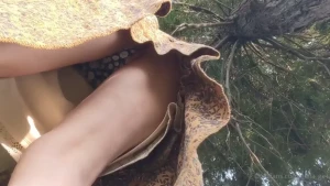 Aella [ aella_girl ] Onlyfans leaked video 1296560 on Hotleaks.tv