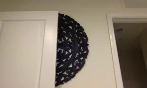 aidrafoxx Onlyfans leaked video 1296684 on Hotleaks.tv