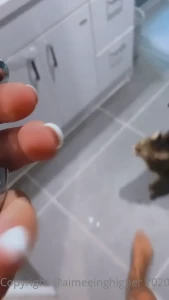 🦋 Miss Åïmêę 🦋 [ aimeeinghigher ] Onlyfans leaked video 10793804 on Hotleaks.tv