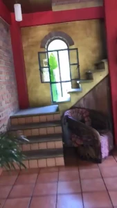 Alexis Fawx [ alexisfawx ] Onlyfans leaked video 1300657 on Hotleaks.tv