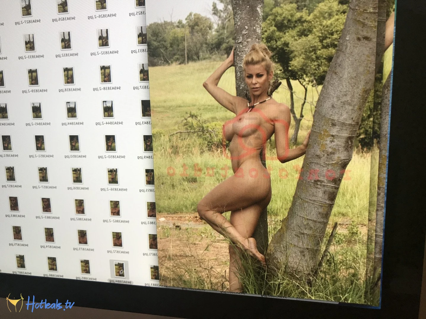 Alexis Fawx [ alexisfawx ] Onlyfans leaked photo 30972 on Hotleaks.tv