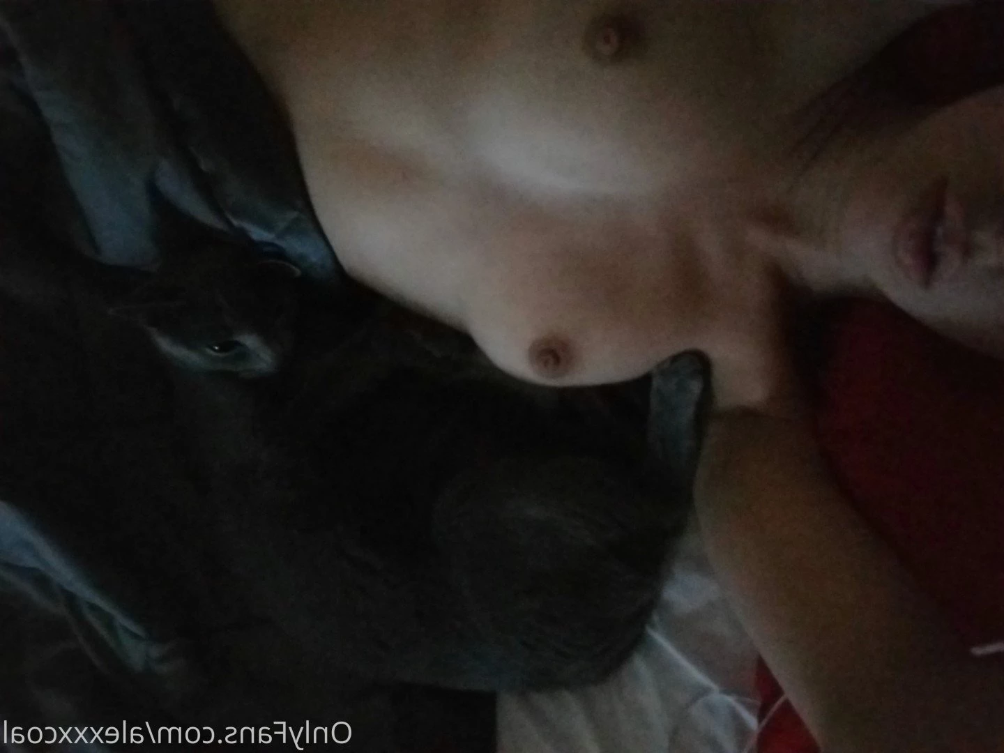 Alex Coal 🦑❤🐙 [ alexxxcoal ] Onlyfans leaked photo 34413 on Hotleaks.tv