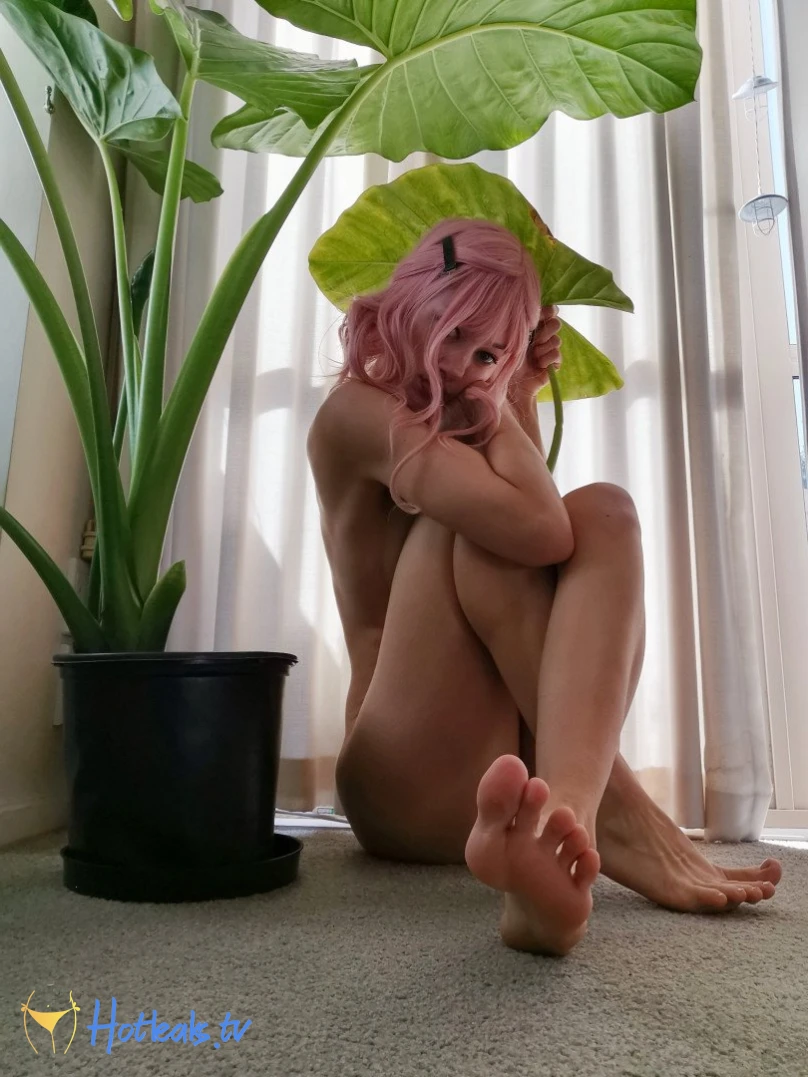 Alice NZ [ alicenz ] Onlyfans leaked photo 36085 on Hotleaks.tv