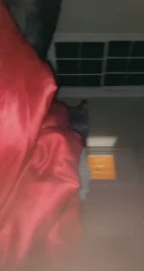 Alyssa 🌸  pretty pink pussy 🐱 [ alyssa9 ] Onlyfans leaked video 1306693 on Hotleaks.tv