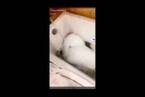 YonnaTheFreak🖤 [ fineassyonna ] Onlyfans leaked video 1963784 on Hotleaks.tv