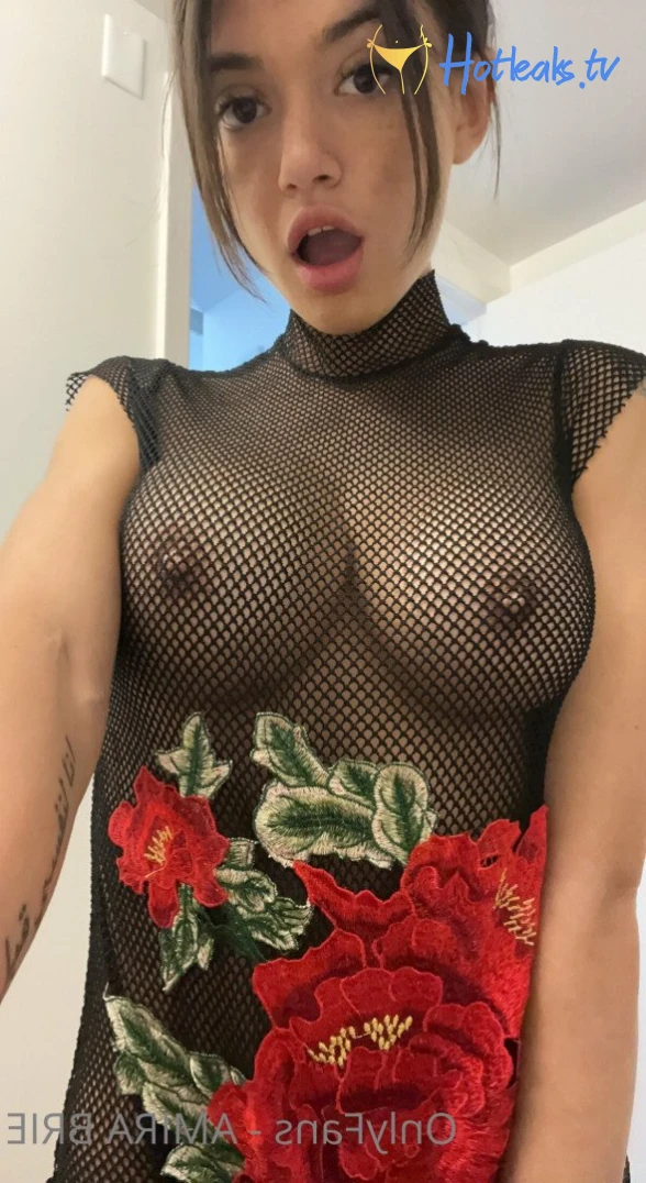 Amira Brie [ amirabrie ] Onlyfans leaked photo 4364311 on Hotleaks.tv