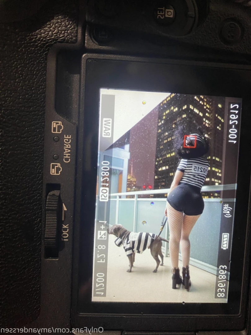 amyanderssen Onlyfans leaked photo 15228537 on Hotleaks.tv