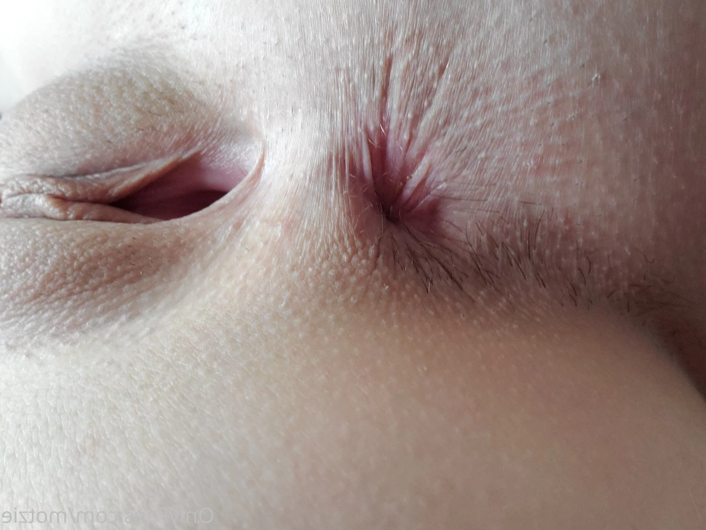 motzie Onlyfans leaked photo 2037220 on Hotleaks.tv