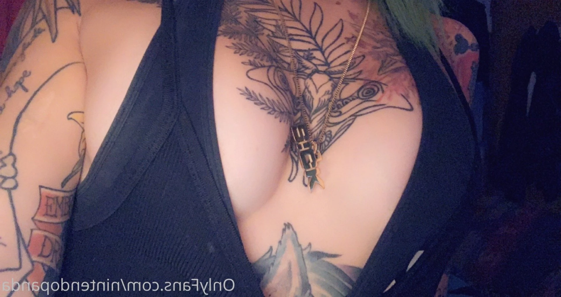 Panda 🐼 [ nintendopanda ] Onlyfans leaked photo 2033707 on Hotleaks.tv
