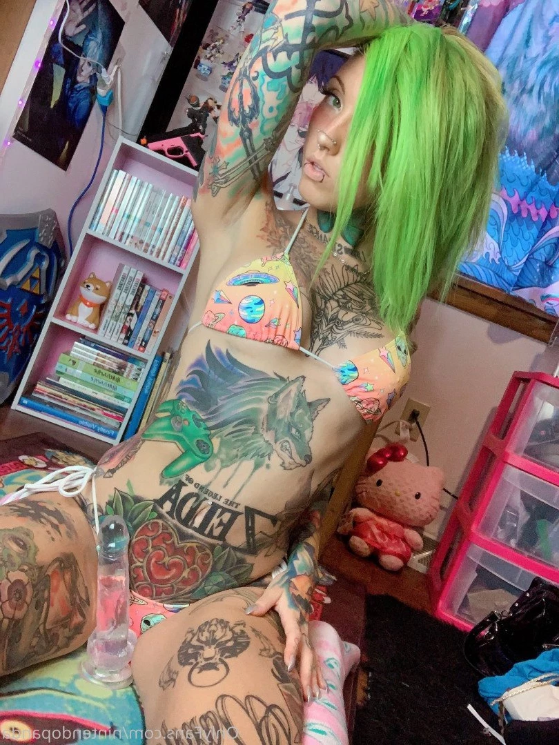 Panda 🐼 [ nintendopanda ] Onlyfans leaked photo 2033946 on Hotleaks.tv