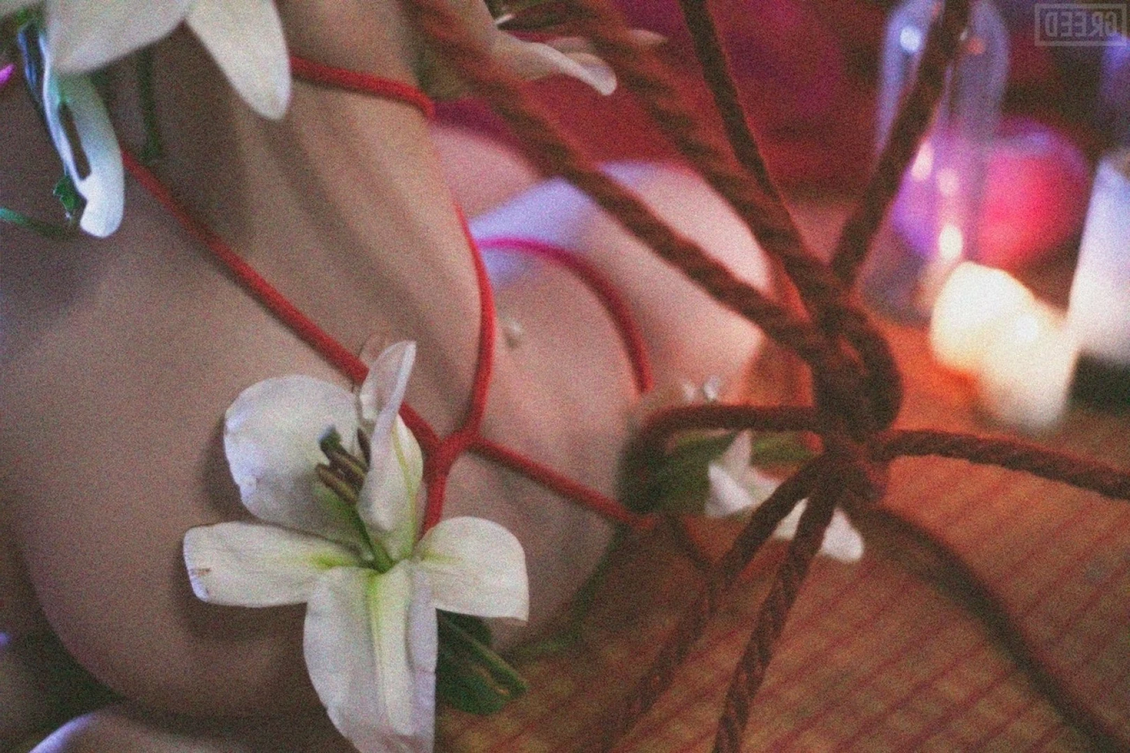 oichi Onlyfans leaked photo 2027086 on Hotleaks.tv