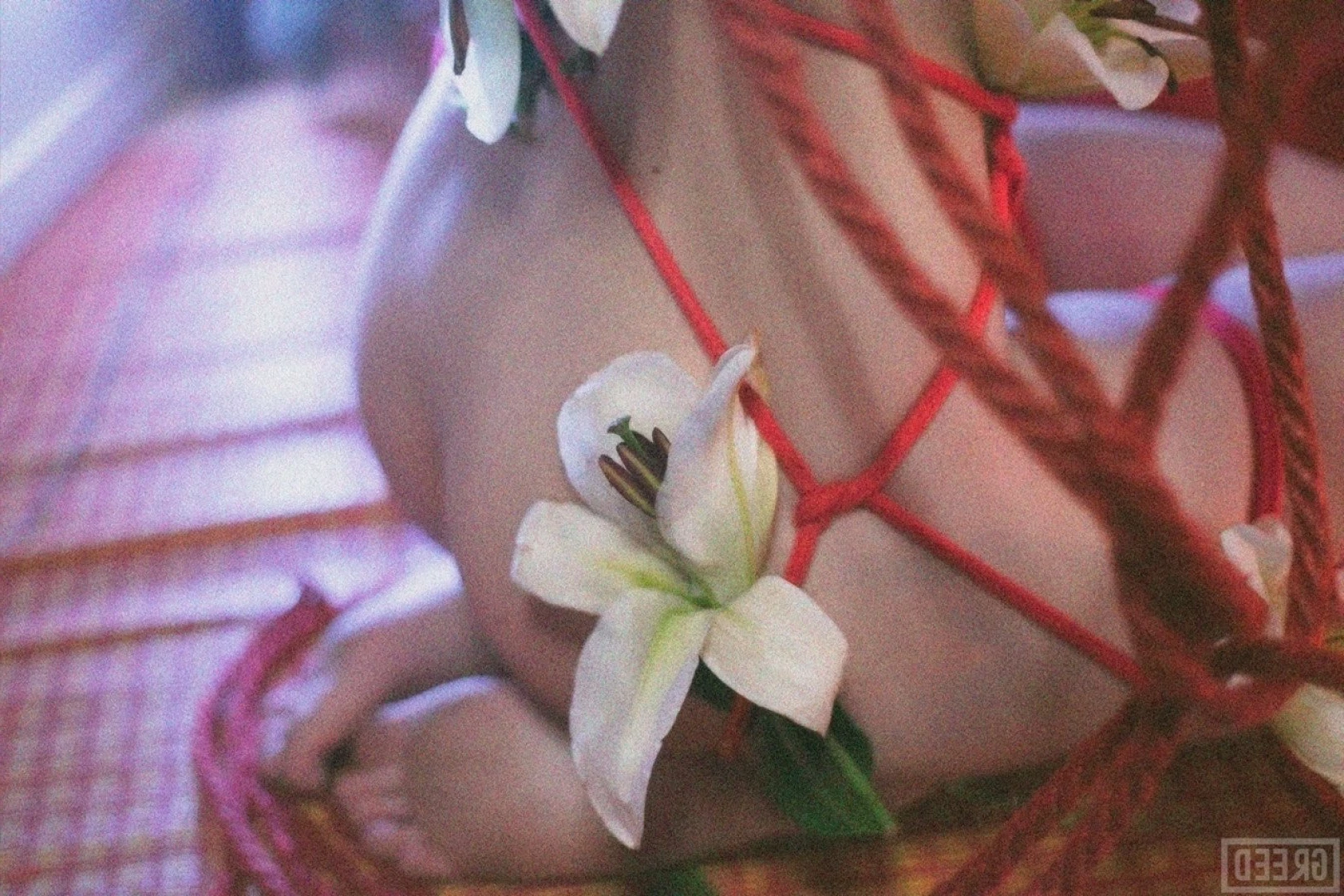 oichi Onlyfans leaked photo 2027095 on Hotleaks.tv