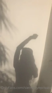 10687688