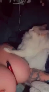 18346181
