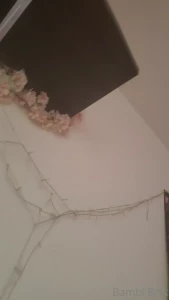 delusionalildoe Onlyfans leaked video 1977277 on Hotleaks.tv