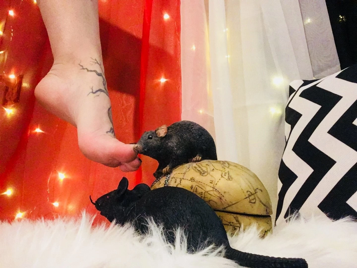 BaileyRAGE [ baileyxpaige ] Onlyfans leaked photo 154724 on Hotleaks.tv