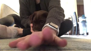 Hairy Pussy Sage 😍 [ scarlett-sage ] Onlyfans leaked video 4806017 on Hotleaks.tv