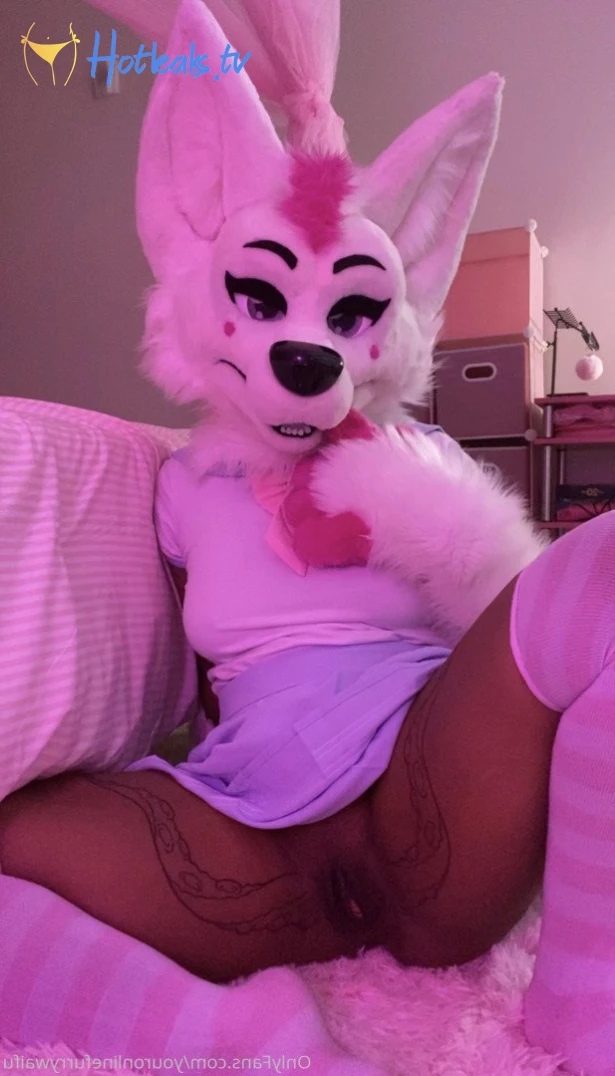 Busty Puppy [ bustypuppy ] Onlyfans leaked photo 2424018 on Hotleaks.tv