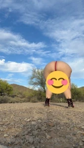 2393616