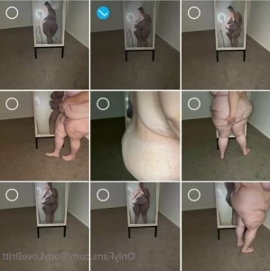 2393894