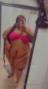 13036681