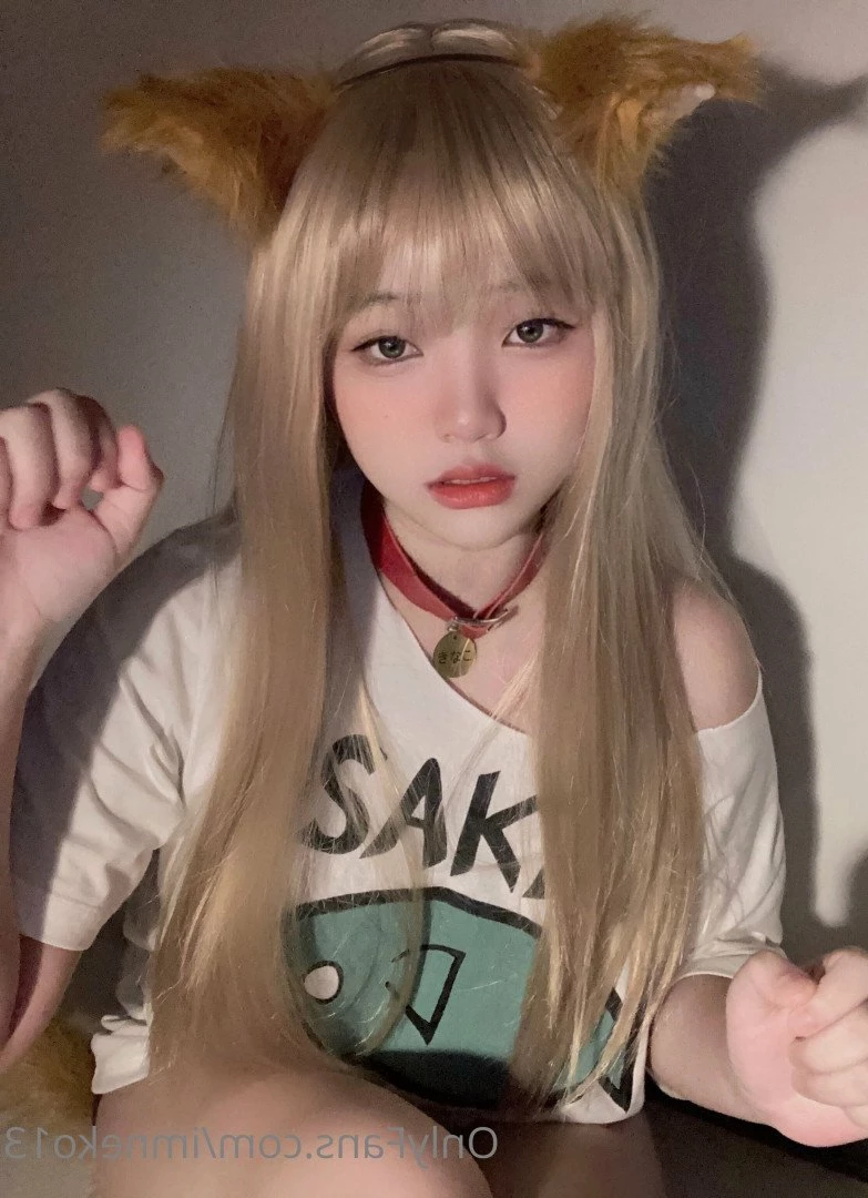 im_neko [ imneko13 ] Onlyfans leaked photo 2357045 on Hotleaks.tv