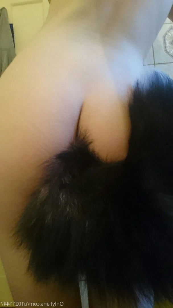 luciuskitten Onlyfans leaked photo 2395574 on Hotleaks.tv