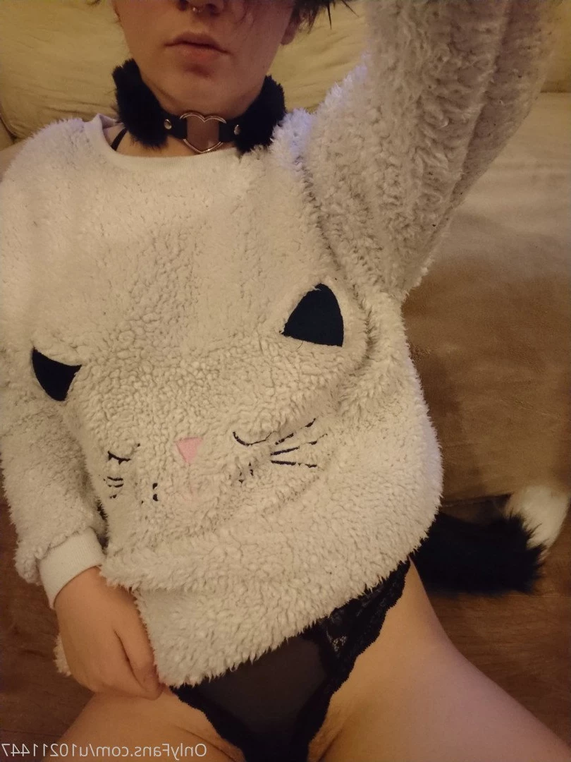 luciuskitten Onlyfans leaked photo 2399788 on Hotleaks.tv