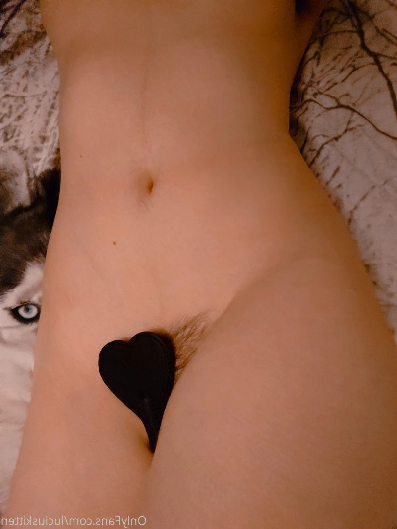 luciuskitten Onlyfans leaked photo 2402833 on Hotleaks.tv