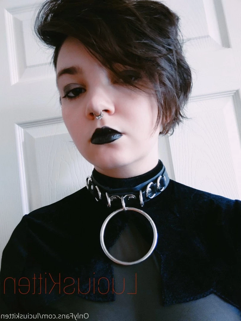 luciuskitten Onlyfans leaked photo 2413162 on Hotleaks.tv