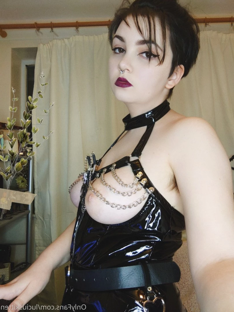 luciuskitten Onlyfans leaked photo 2420501 on Hotleaks.tv
