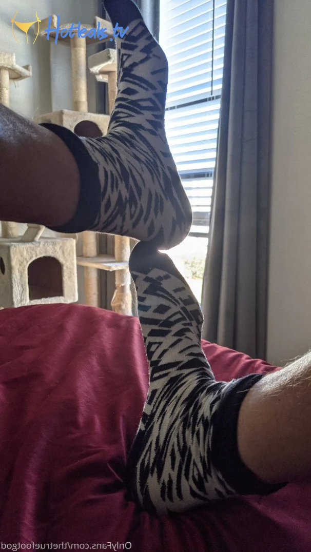 The Foot God [ thetruefootgod ] Onlyfans leaked photo 2374467 on Hotleaks.tv