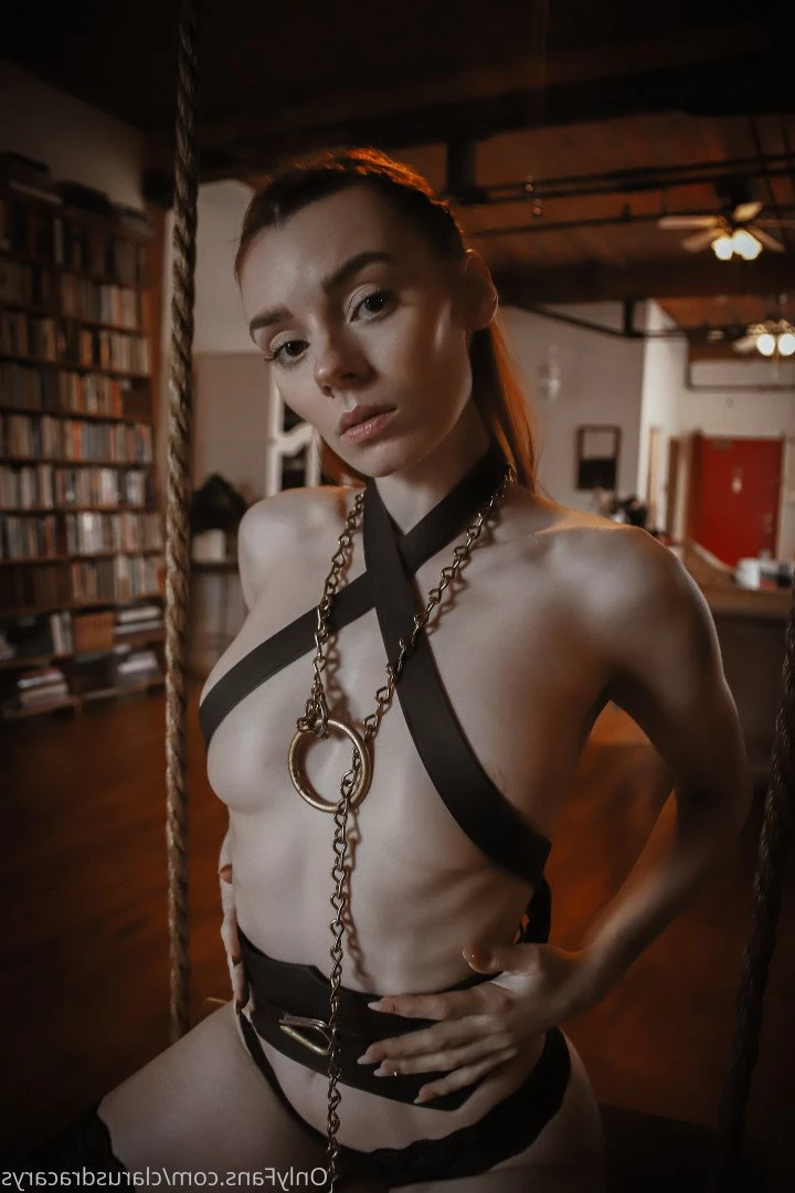ClarusPolaris VIP [ claruspolaris ] Onlyfans leaked photo 2349454 on Hotleaks.tv
