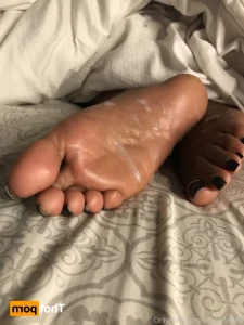 15582286