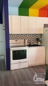 10842331