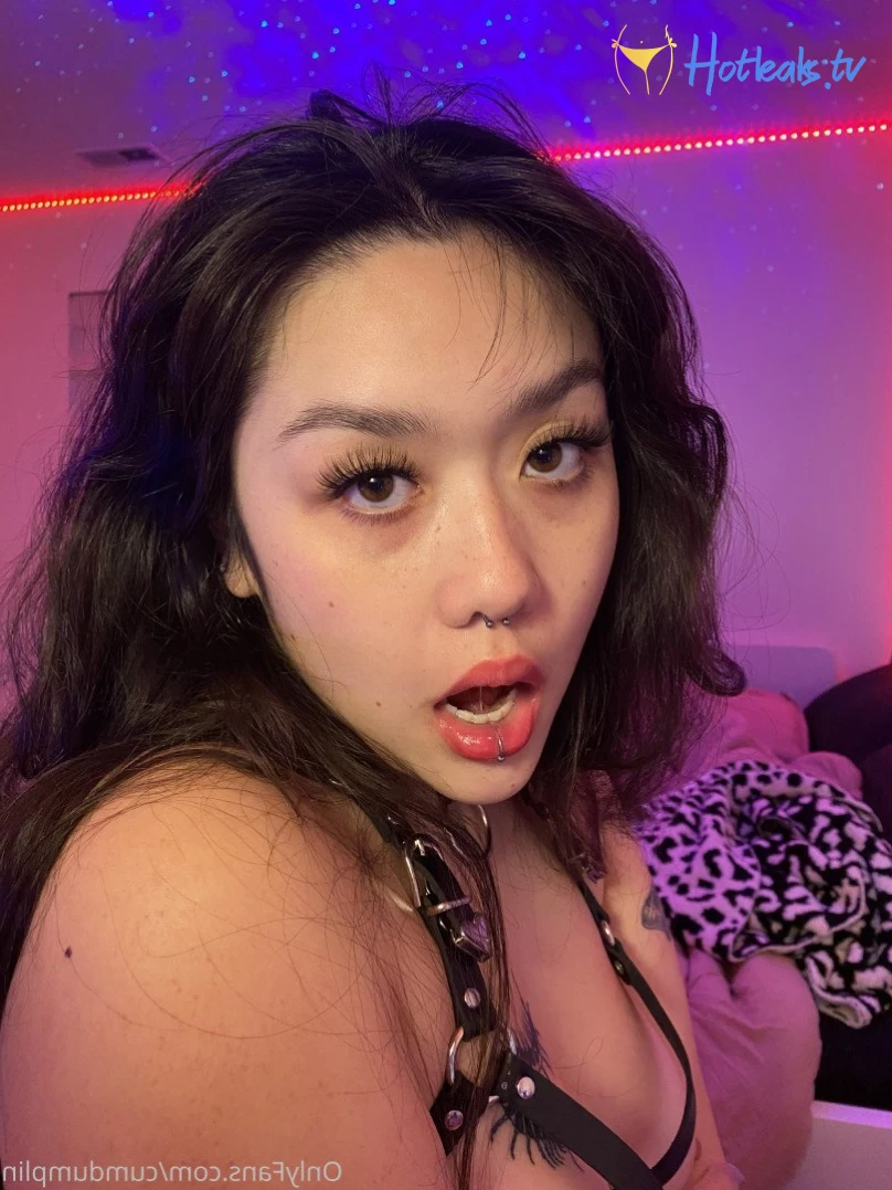 bunni&lt;3 [ cumdumplin ] Onlyfans leaked photo 2342988 on Hotleaks.tv