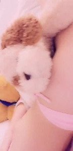 Belle Delphine [ belledelphine ] Onlyfans leaked video 1871592 on Hotleaks.tv