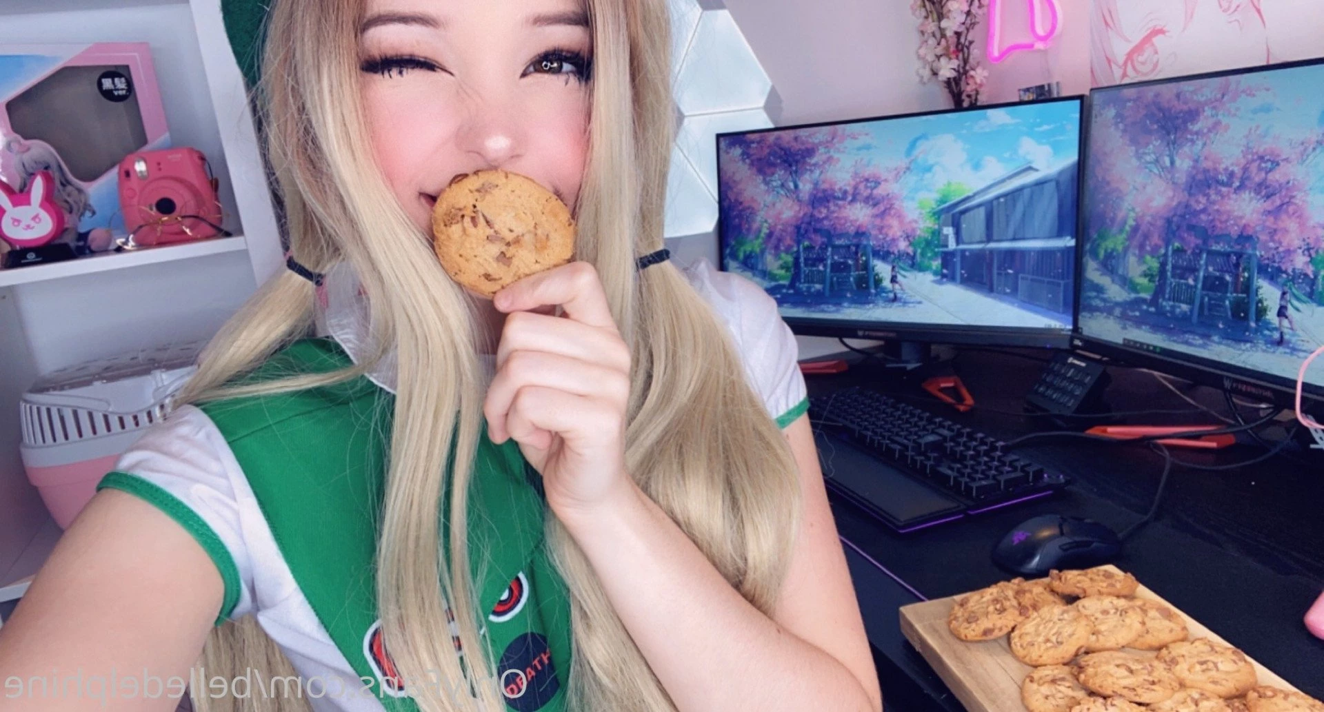 Belle Delphine [ belledelphine ] Onlyfans leaked photo 175251 on Hotleaks.tv