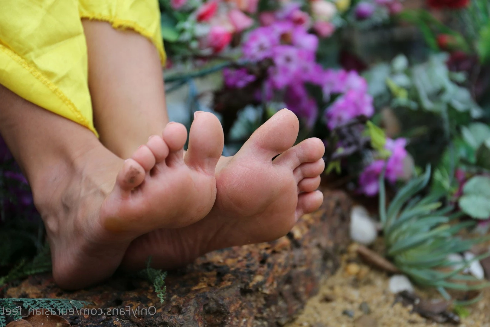 Eurasian Feet [ eurasian_feet ] Onlyfans leaked photo 2333223 on Hotleaks.tv