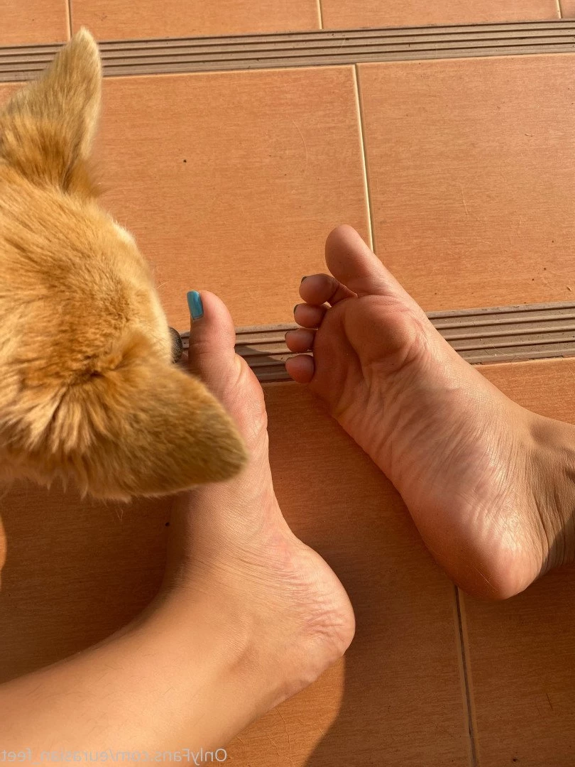 Eurasian Feet [ eurasian_feet ] Onlyfans leaked photo 4484750 on Hotleaks.tv