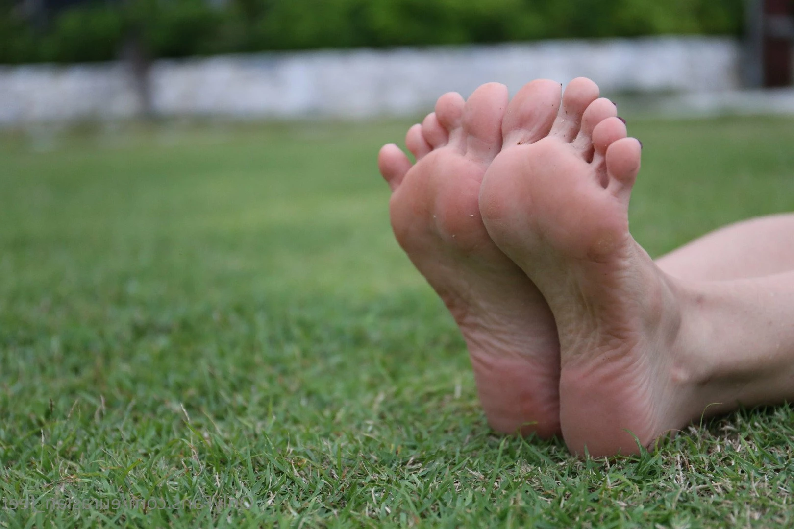 Eurasian Feet [ eurasian_feet ] Onlyfans leaked photo 4484842 on Hotleaks.tv