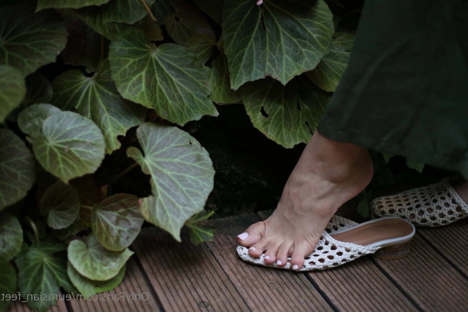 Eurasian Feet [ eurasian_feet ] Onlyfans leaked photo 4485540 on Hotleaks.tv