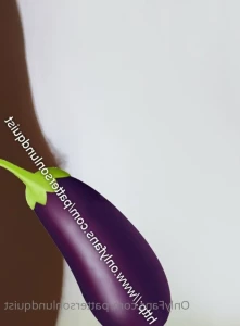 3997028