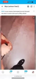 14975704