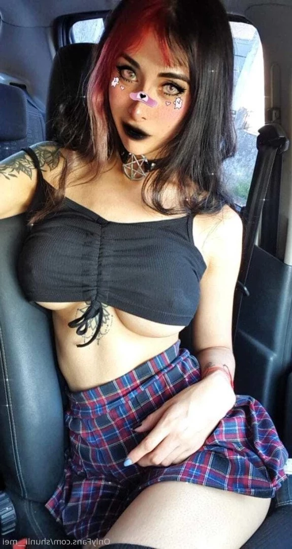 Shunli [ shunli__mei ] Onlyfans leaked photo 3874032 on Hotleaks.tv