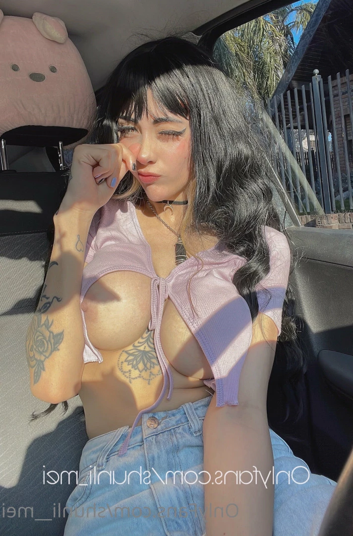 Shunli [ shunli__mei ] Onlyfans leaked photo 6454158 on Hotleaks.tv