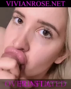 18342482