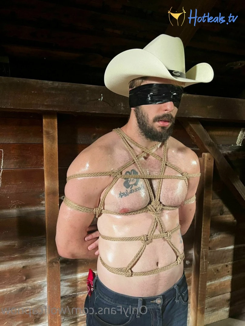 Captain Jake [ wolfcapnow ] Onlyfans leaked photo 2303553 on Hotleaks.tv