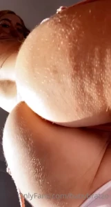 10679067